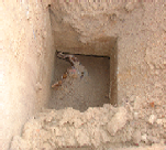 wp4397348b.png